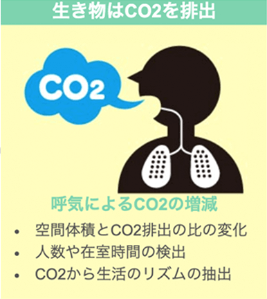 生き物はCO2を排出